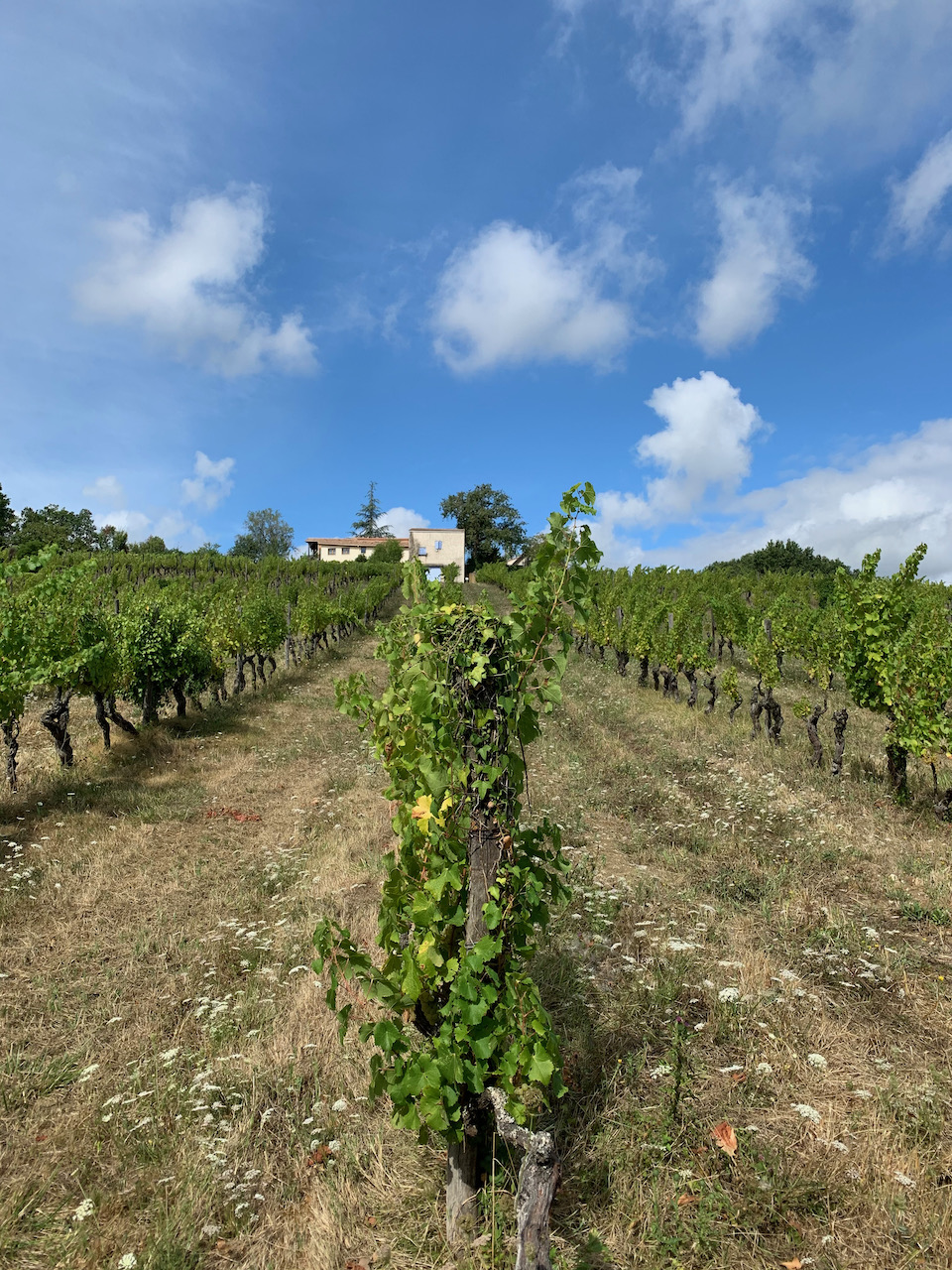 Glass and colours photograph