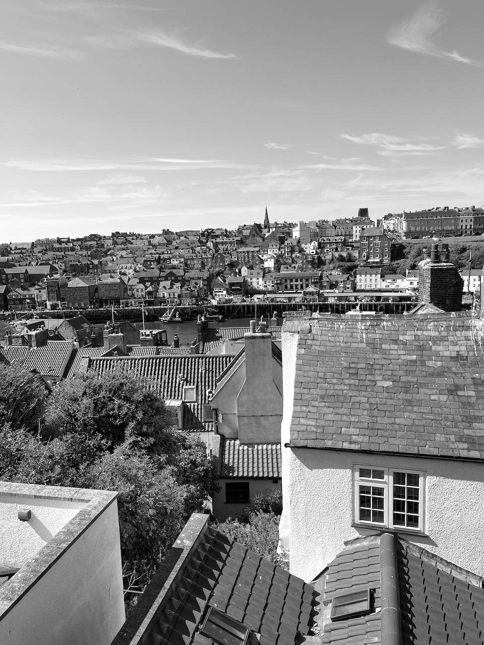 whitby roof tops